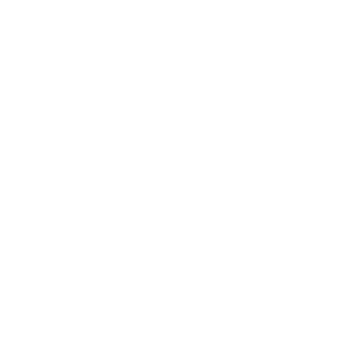 Forró di Lei Logo